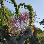 Al Villino Del Sole