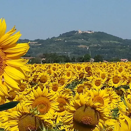 Al Villino Del Sole פאנו