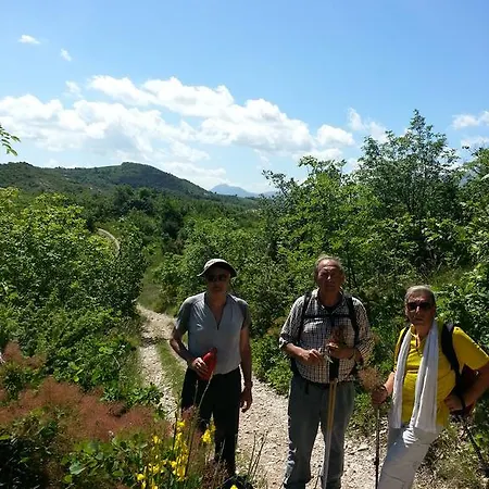 Bed & Breakfast Al Villino Del Sole Fano