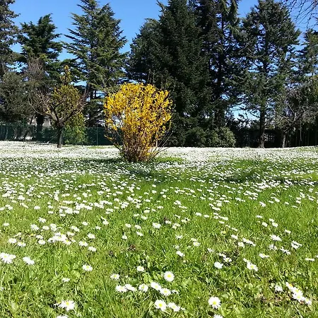 Al Villino Del Sole Alojamento de Acomodação e Pequeno-almoço