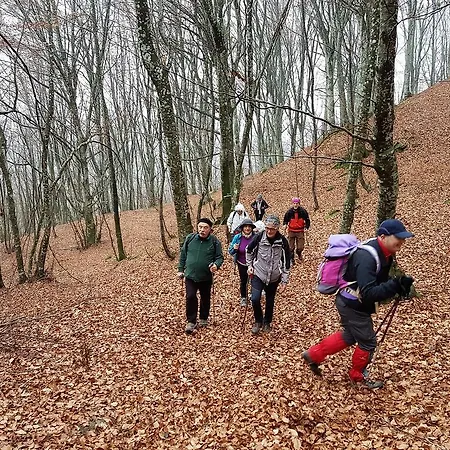 Al Villino Del Sole Panzió Fano