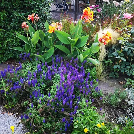 Al Villino Del Sole 3* פאנו