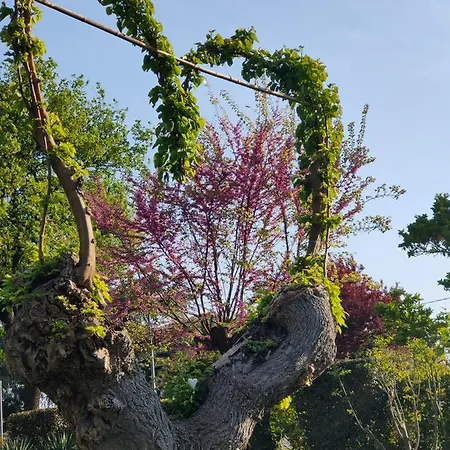 Al Villino Del Sole