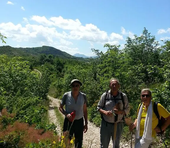 住宿加早餐酒店 阿尔韦里店德尔索罗住宿加早餐旅馆 法诺