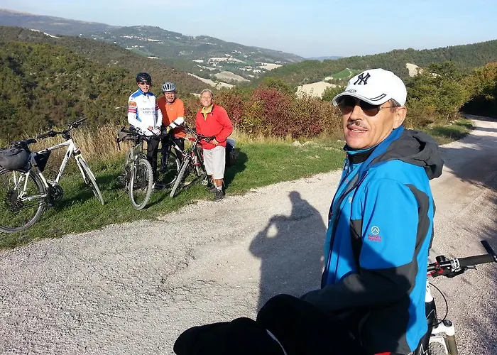 住宿加早餐酒店 阿尔韦里店德尔索罗住宿加早餐旅馆